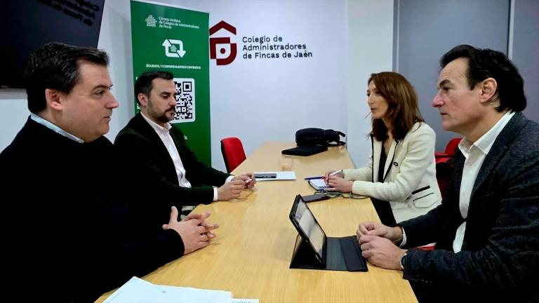 🔴 Propuesta para agilizar reparaciones tras el temporal en Jaén 👨🏻💼👩🏻💼